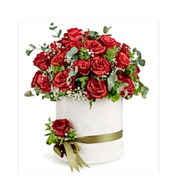 Beyaz kutu kırmızı güller