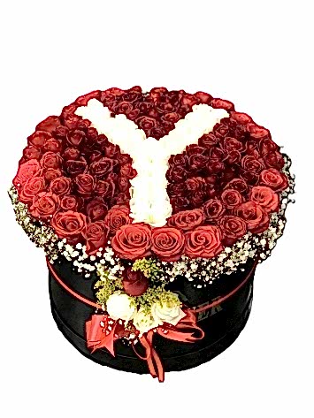 büyük kutu büyük harf