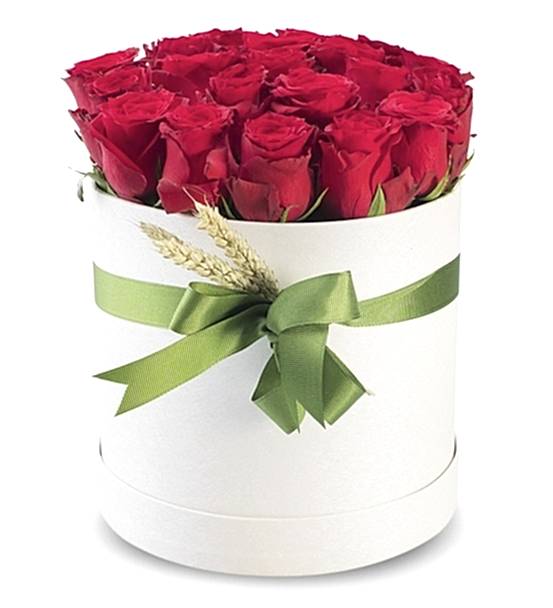 Kutuda Kırmızı Güller